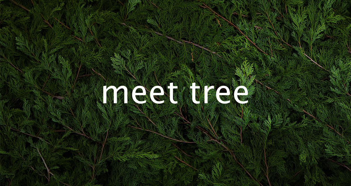 meet tree | 森のある暮らしを届けるサステナブル・ライフスタイルブランド